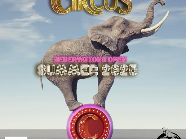 B-CIRCUS Apartamentos BC Music Resort™ (Recommended for Adults) Benidorm B-CIRCUS Apartamentos BC Music Resort™ (Recommended for Adults) Benidorm